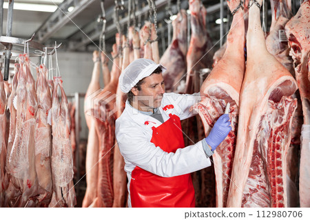 Male slaughterhouse worker using food thermometer to measure temperature of pig carcass Male slaughterhouse worker using food thermometer to measure temperature of pig carcass 112980706