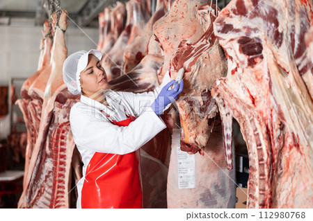 Female butchery worker monitoring temperature of beef carcass in cold storage 112980768