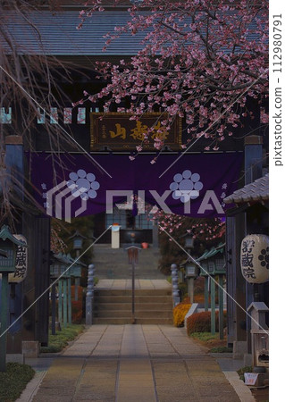 櫻花和寺廟 112980791