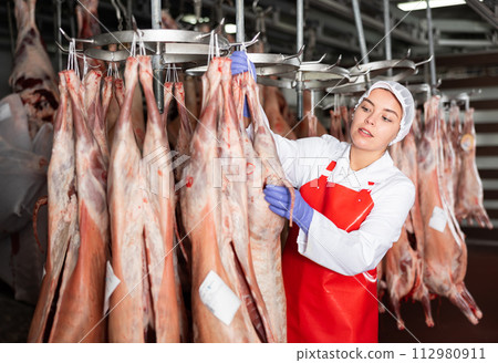 Female butcher checking raw lamb carcasses hanging in chilling room Female butcher checking raw lamb carcasses hanging in chilling room 112980911
