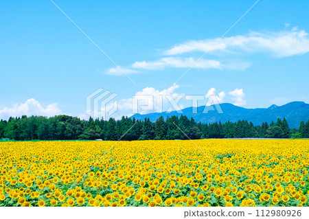 Tsunan向日葵開放空間 112980926