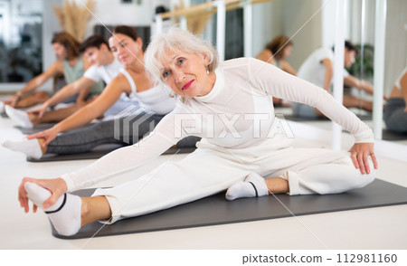 Portrait of flexible women and men practice yoga in modern studio. Portrait of flexible women and men practice yoga in modern studio. 112981160
