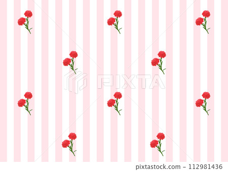 Carnation background material 112981436