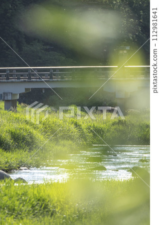 Fresh green and clear stream Misasa Onsen 112981641
