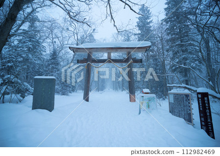 Nagano City, Nagano Prefecture: Cedar trees at Togakushi Shrine in the snowy winter Nagano City, Nagano Prefecture: Cedar trees at Togakushi Shrine in the snowy winter 112982469