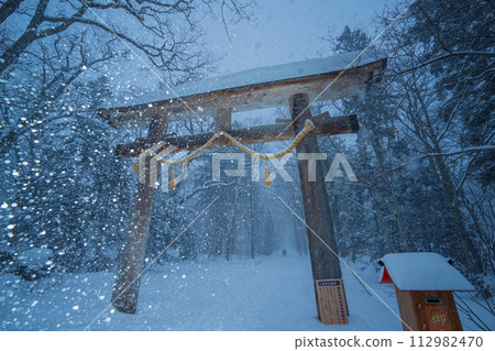 長野縣長野市：雪冬裡戶隱神社的杉樹 112982470