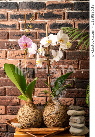 Two orchids against with stones and candle against bricks wall Two orchids against with stones and candle against bricks wall 112982538
