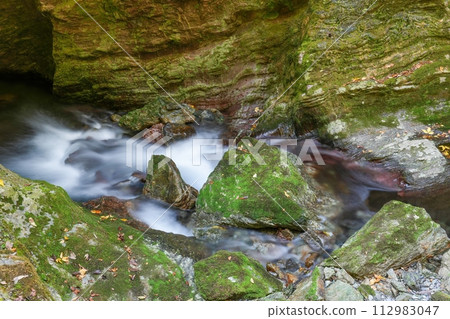 Collaborative scenery of a small waterfall and fallen leaves in Nakatsu Valley in late autumn Collaborative scenery of a small waterfall and fallen leaves in Nakatsu Valley in late autumn 112983047