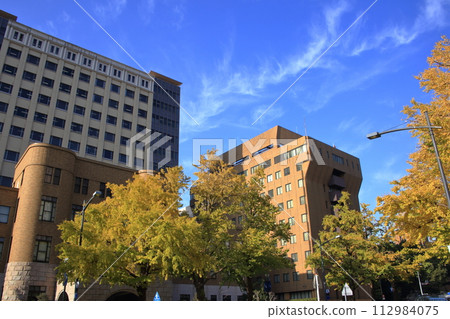 Ginkgo trees along Nihon Odori Street in late autumn 112984075