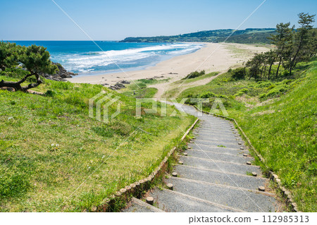 「青森縣」八戶市大須賀海岸/種差海岸 「青森縣」八戶市大須賀海岸/種差海岸 112985313