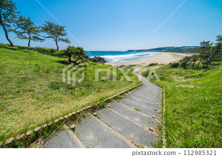 「青森縣」八戶市大須賀海岸/種差海岸 112985321