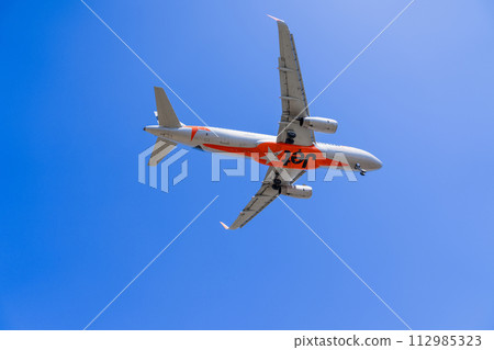 《Airplane》Airbus Airbus A320ceo Family > A320 《Airplane》Airbus Airbus A320ceo Family > A320 112985323