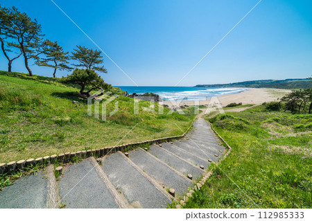 「青森縣」八戶市大須賀海岸/種差海岸 112985333