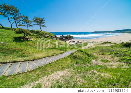 "Aomori Prefecture" Osuka Coast/Tanesashi Coast, Hachinohe City 112985334