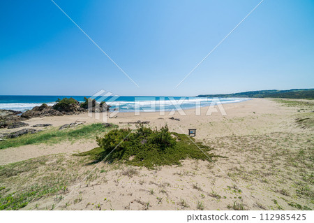 "Aomori Prefecture" Osuka Coast/Tanesashi Coast, Hachinohe City 112985425