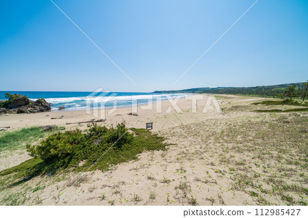 "Aomori Prefecture" Osuka Coast/Tanesashi Coast, Hachinohe City 112985427