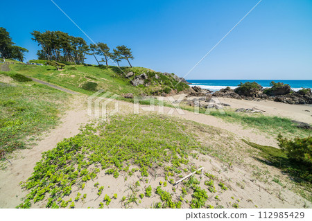 "Aomori Prefecture" Osuka Coast/Tanesashi Coast, Hachinohe City 112985429