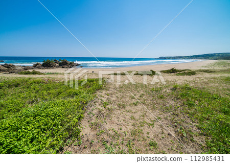 「青森縣」八戶市大須賀海岸/種差海岸 112985431