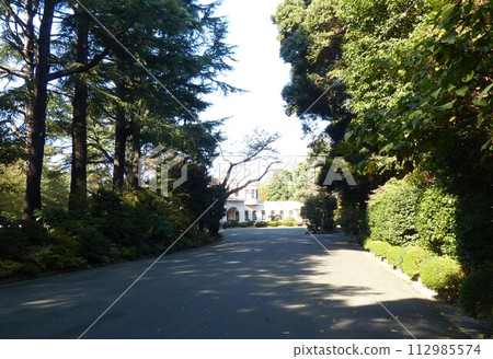 Tokyo Metropolitan Teien Art Museum Shirokanedai, Minato-ku, Tokyo Former Asaka Palace Residence Tokyo Metropolitan Foundation for History and Culture Garden, Pond, Forest, New Building 112985574