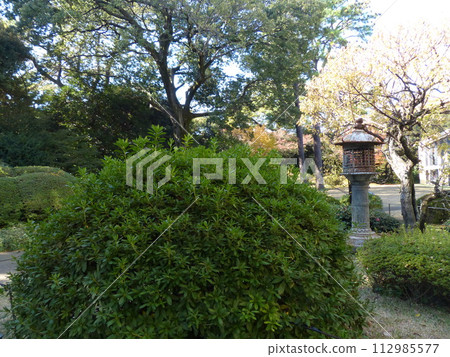 Tokyo Metropolitan Teien Art Museum Shirokanedai, Minato-ku, Tokyo Former Asaka Palace Residence Tokyo Metropolitan Foundation for History and Culture Garden, Pond, Forest, New Building 112985577