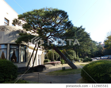 Tokyo Metropolitan Teien Art Museum Shirokanedai, Minato-ku, Tokyo Former Asaka Palace Residence Tokyo Metropolitan Foundation for History and Culture Garden, Pond, Forest, New Building 112985581