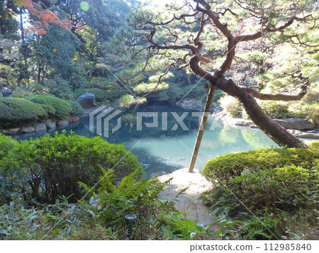 Tokyo Metropolitan Teien Art Museum Shirokanedai, Minato-ku, Tokyo Former Asaka Palace Residence Tokyo Metropolitan Foundation for History and Culture Garden, Pond, Forest, New Building 112985840