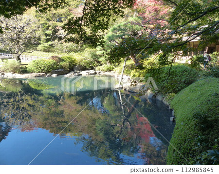 Tokyo Metropolitan Teien Art Museum Shirokanedai, Minato-ku, Tokyo Former Asaka Palace Residence Tokyo Metropolitan Foundation for History and Culture Garden, Pond, Forest, New Building 112985845