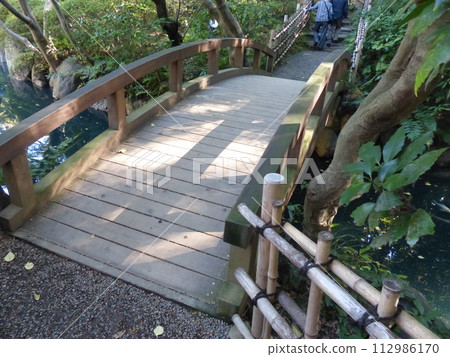 Tokyo Metropolitan Teien Art Museum Shirokanedai, Minato-ku, Tokyo Former Asaka Palace Residence Tokyo Metropolitan Foundation for History and Culture Garden, Pond, Forest, New Building 112986170