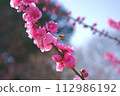 矢口花桃 112986192