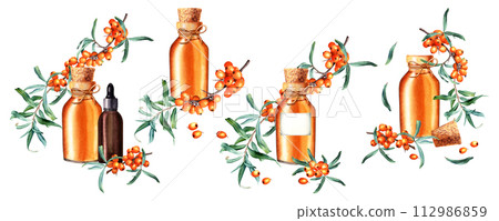 A set of compositions with sea buckthorn plant and glass oil bottles. Hand drawn watercolor illustration isolated on white. For clip art template label 112986859