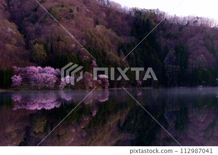 [Spring in Shinshu] Oyamazakura reflection at Lake Nakatsuna [Nagano Prefecture] 112987041
