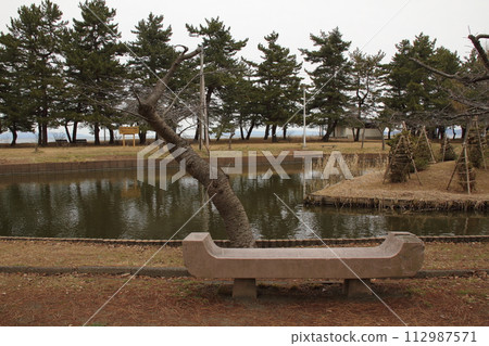 [Aomori City Aiura Park] Stone bench and pond 112987571