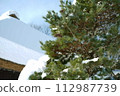 松樹、雪和茅草屋頂 112987739