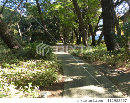 Tokyo Metropolitan Teien Art Museum Shirokanedai, Minato-ku, Tokyo Former Asaka Palace Residence Tokyo Metropolitan Foundation for History and Culture Garden, Pond, Forest, New Building 112988367