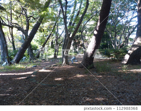 Tokyo Metropolitan Teien Art Museum Shirokanedai, Minato-ku, Tokyo Former Asaka Palace Residence Tokyo Metropolitan Foundation for History and Culture Garden, Pond, Forest, New Building 112988368