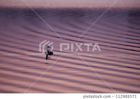 森巴湖 森巴湖 112988371