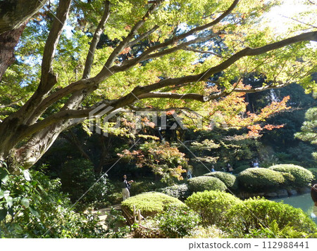 東京都庭園美術館 東京都港區白金台 舊朝香宮官邸 東京都歷史文化財團 庭園、池塘、森林、新館 東京都庭園美術館 東京都港區白金台 舊朝香宮官邸 東京都歷史文化財團 庭園、池塘、森林、新館 112988441