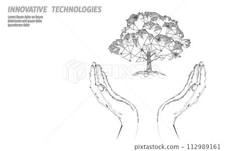 Hands holding plant tree ecological abstract concept. 3D render planting soil seedling leaves. Save planet nature environment grow life. Eco polygon triangles low poly vector illustration Hands holding plant tree ecological abstract concept. 3D render planting soil seedling leaves. Save planet nature environment grow life. Eco polygon triangles low poly vector illustration 112989161