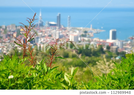 Nature background of Batumi city and Black sea from mountain in sunny day. 112989948