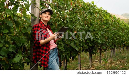 A woman farmer examines the vineyard and sends data to the cloud from the tablet. Smart farming and digital agriculture A woman farmer examines the vineyard and sends data to the cloud from the tablet. Smart farming and digital agriculture 112990422