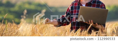 Female farmer working with laptop on wheat field. Smart farming and digital agriculture. Female farmer working with laptop on wheat field. Smart farming and digital agriculture. 112990533