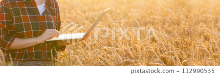 Female farmer working with laptop on wheat field. Smart farming and digital agriculture. 112990535