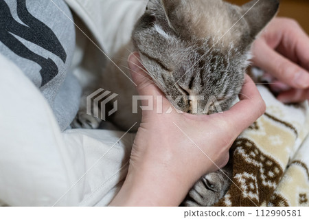 撫摸貓 112990581