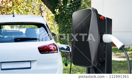Woman with plant in pot next to a charging electric car in the yard of a country house 112991361