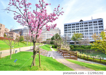 Fukuoka Institute of Technology Fukuoka Institute of Technology 3-30-1 Wajiro Higashi, Higashi-ku, Fukuoka City 112992282