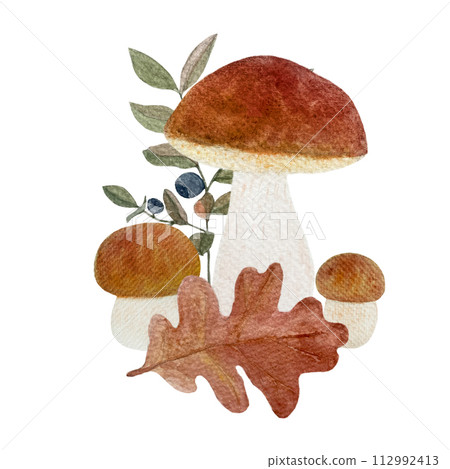 Porcini mushroom with a snail, blueberry and oak leaf watercolor composition isolated on white 112992413