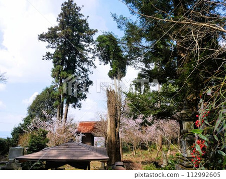飯田山常樂寺境內（熊本縣益木町） 112992605
