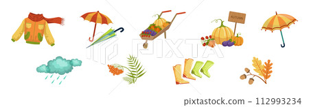 Autumn Season Object and Element Colorful Vector Set 112993234