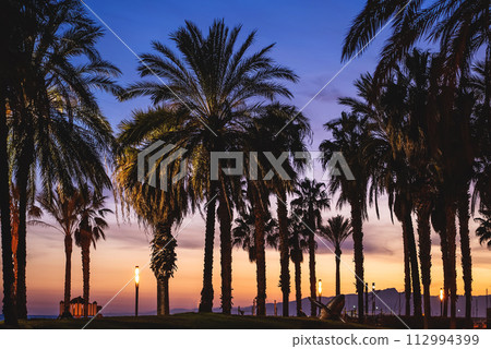 beautiful coastal view with palm trees at tropical destination, sunset in exotic tourism location 112994399