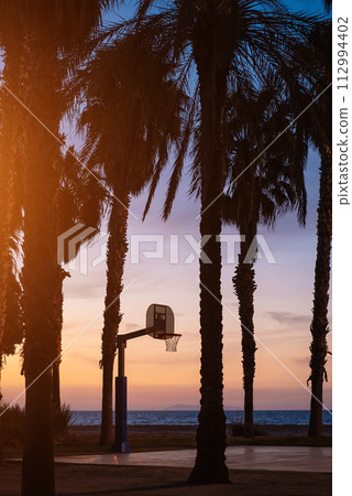 outdoor basketball court with hoop at sunset in palm trees park, tropical California vibes 112994402